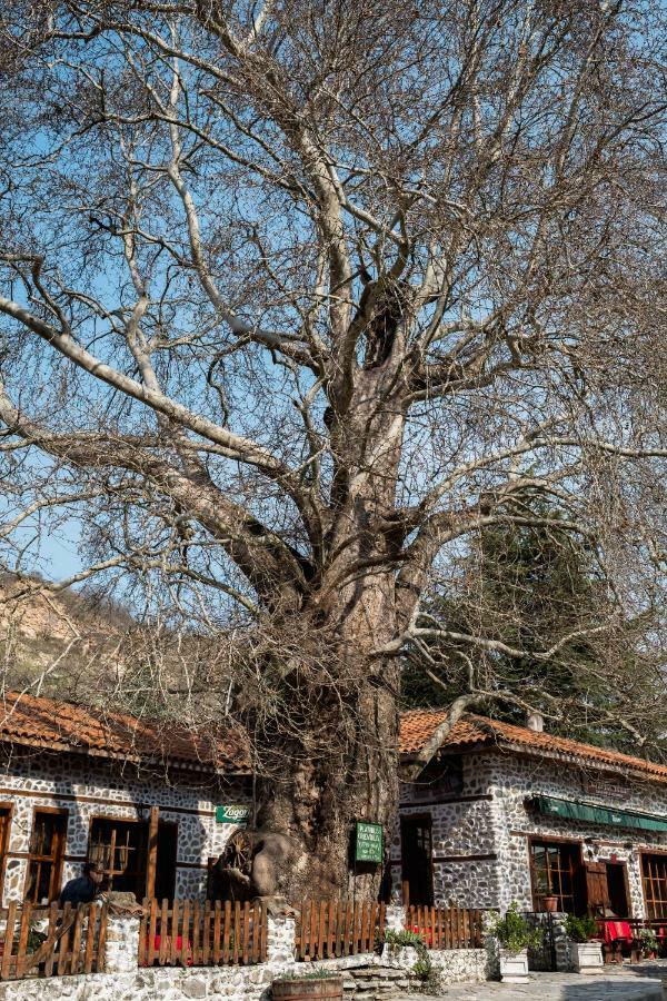 Комплекс Стария Чинар Melnik (Blagoevgrad) Exterior photo